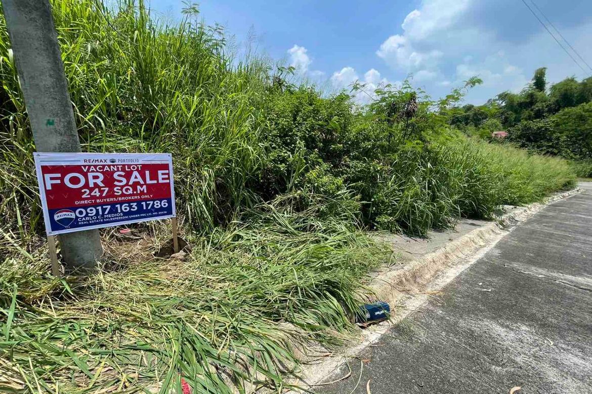 Land for Sale in San Vicente, San Pedro, Laguna