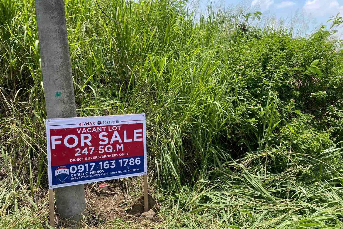 Land for Sale in San Vicente, San Pedro, Laguna – photo 2