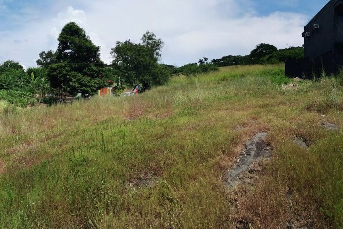 Land for Sale in San Vicente, San Pedro, Laguna – photo 3