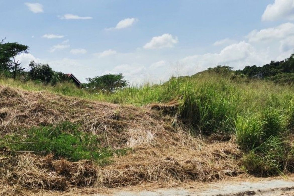 Land for Sale in San Vicente, San Pedro, Laguna – photo 4