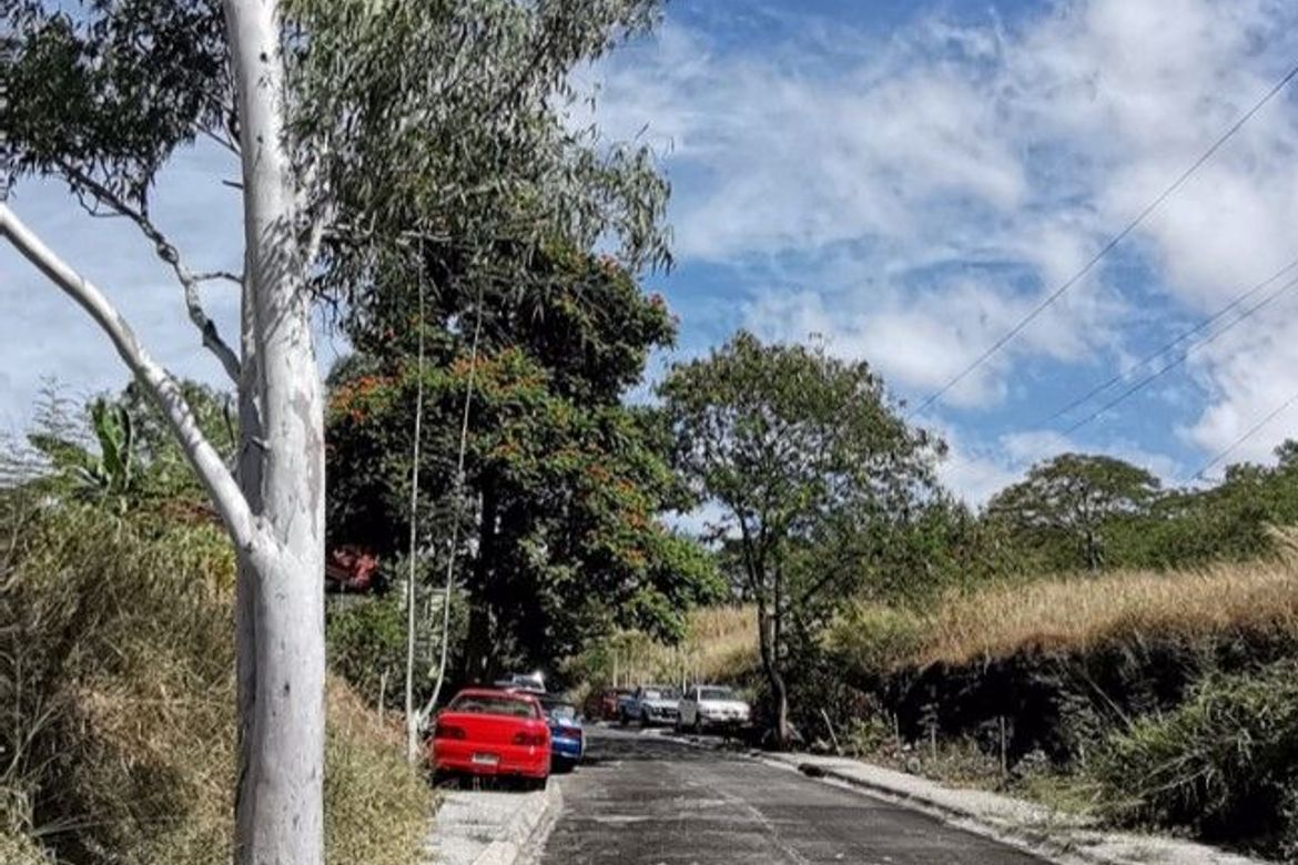 Land for Sale in San Vicente, San Pedro, Laguna – photo 5