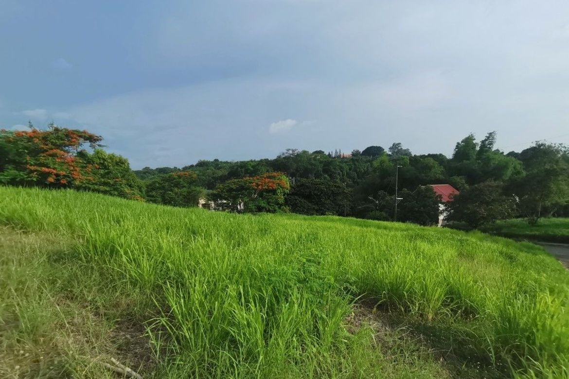 Land for Sale in San Vicente, San Pedro, Laguna – photo 6