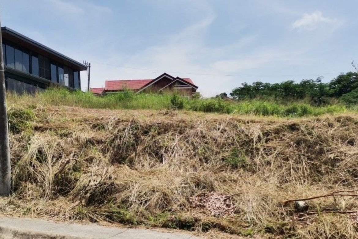 Land for Sale in San Vicente, San Pedro, Laguna – photo 7