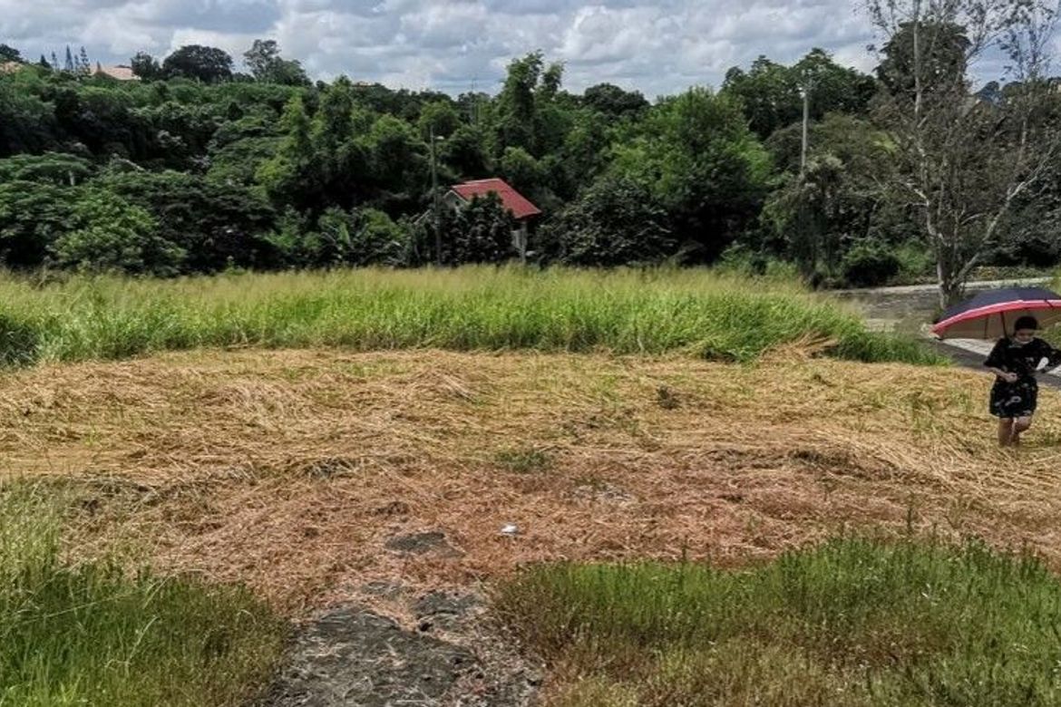 Land for Sale in San Vicente, San Pedro, Laguna – photo 8