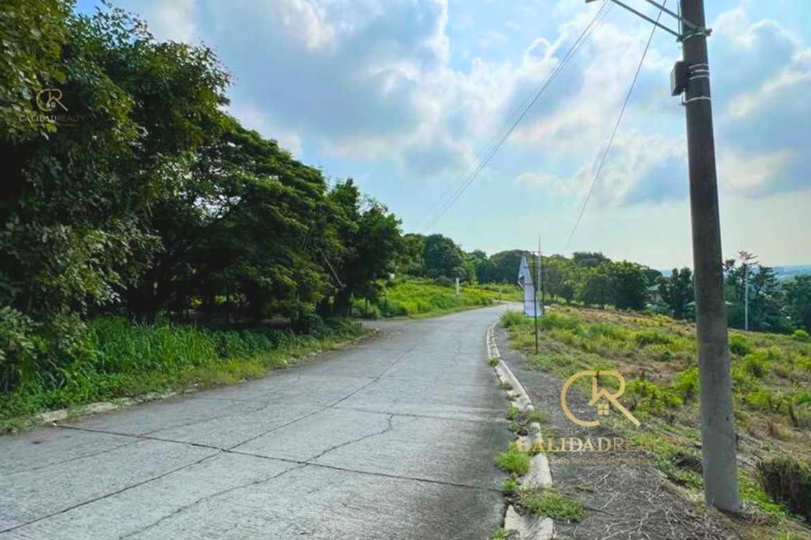 Land for Sale in San Vicente, San Pedro, Laguna – photo 2