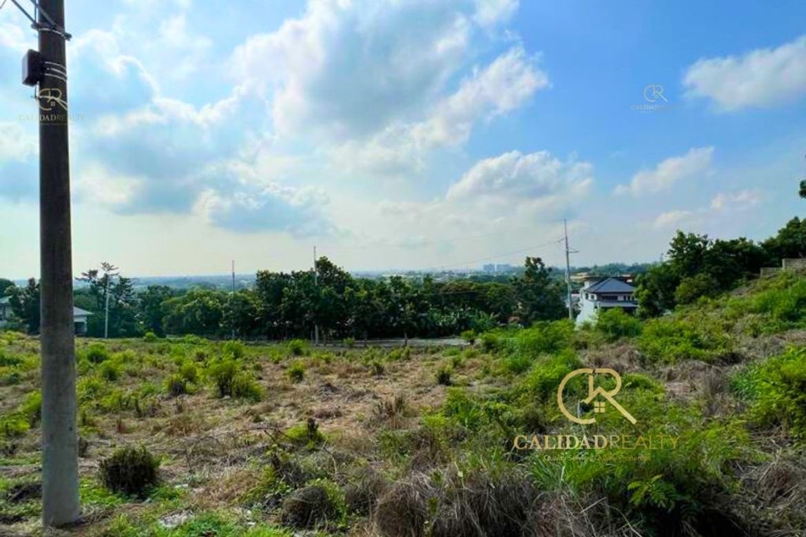 Land for Sale in San Vicente, San Pedro, Laguna – photo 3