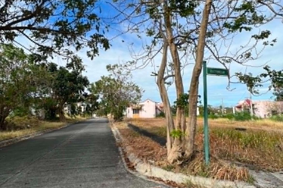 Land for Sale in San Vicente, San Pedro, Laguna – photo 7