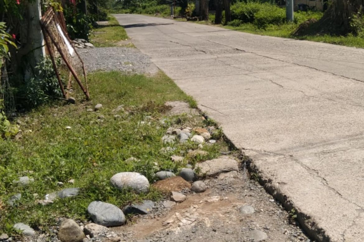 Land for Sale in San Vicente, Santa Ignacia, Tarlac – photo 3