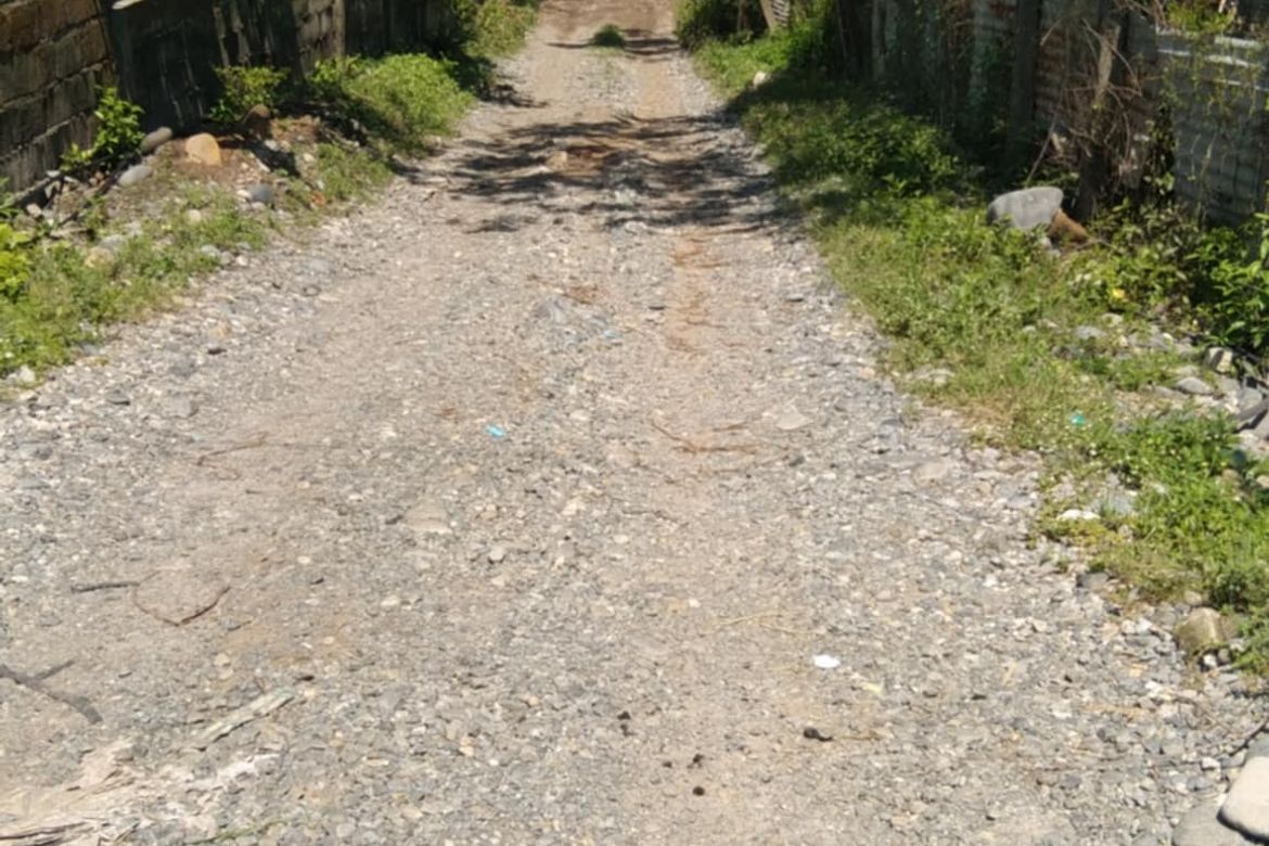 Land for Sale in San Vicente, Santa Ignacia, Tarlac – photo 4