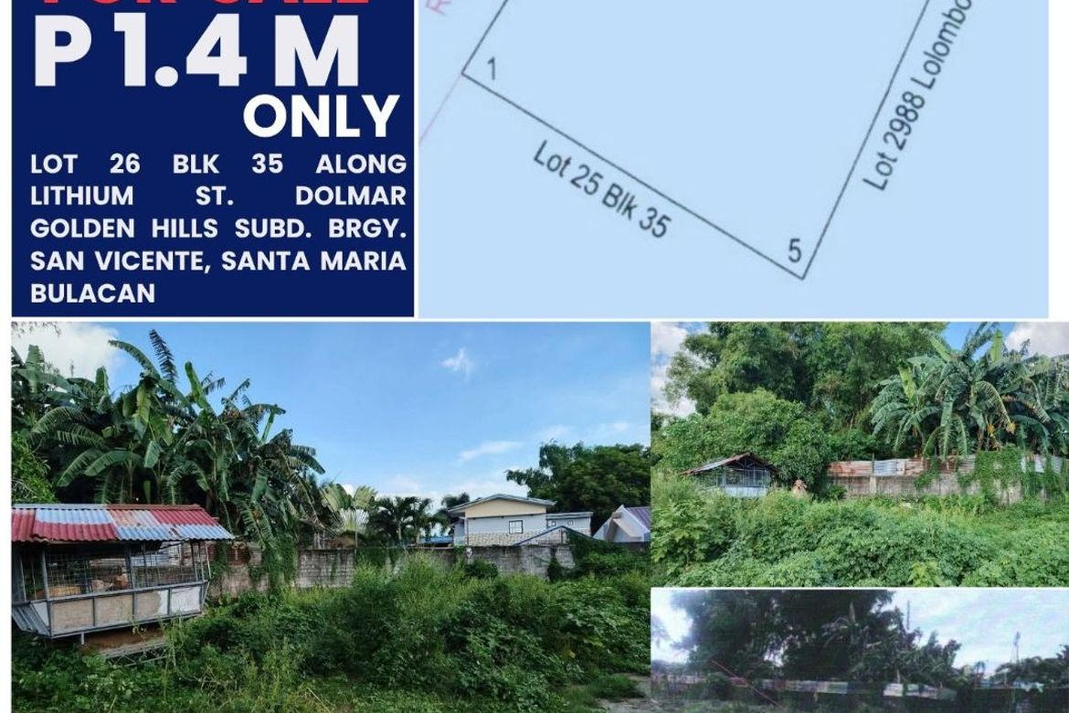 Land for Sale in San Vicente, Santa Maria, Bulacan
