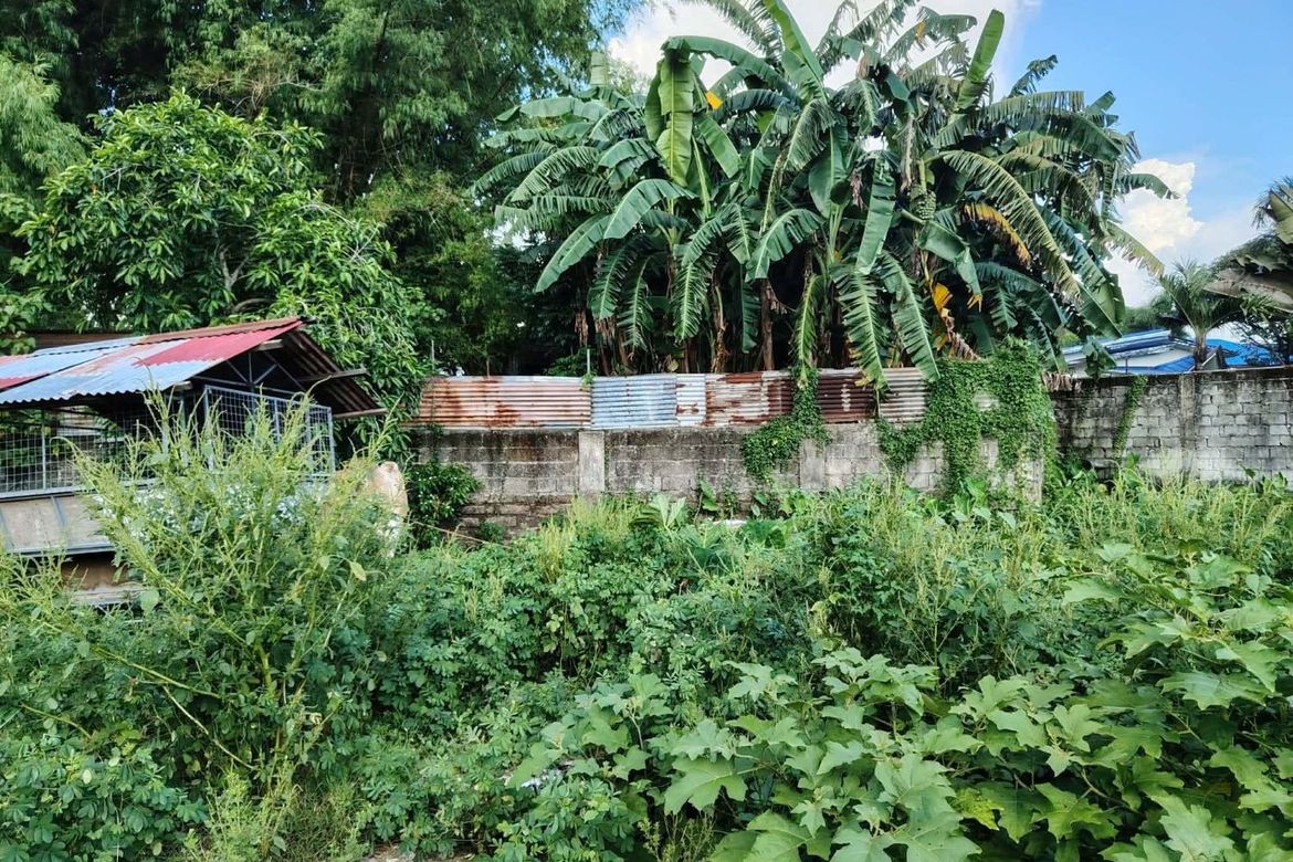 Land for Sale in San Vicente, Santa Maria, Bulacan – photo 2