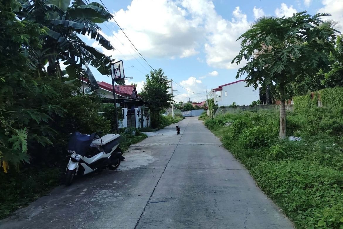 Land for Sale in San Vicente, Santa Maria, Bulacan – photo 5