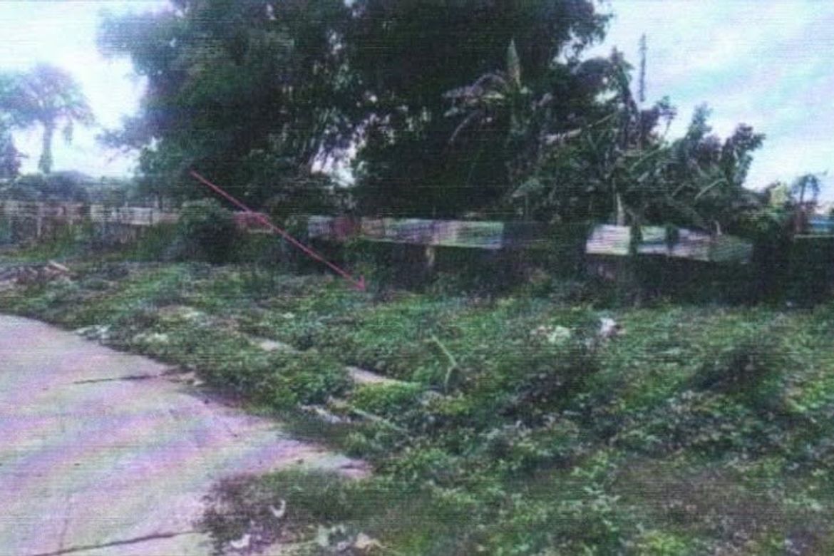 Land for Sale in San Vicente, Santa Maria, Bulacan – photo 6