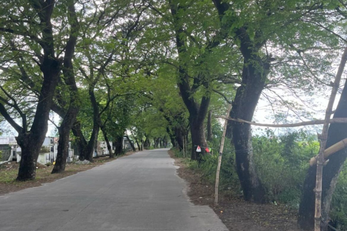 Land for Sale in San Vicente, Santa Rita, Pampanga