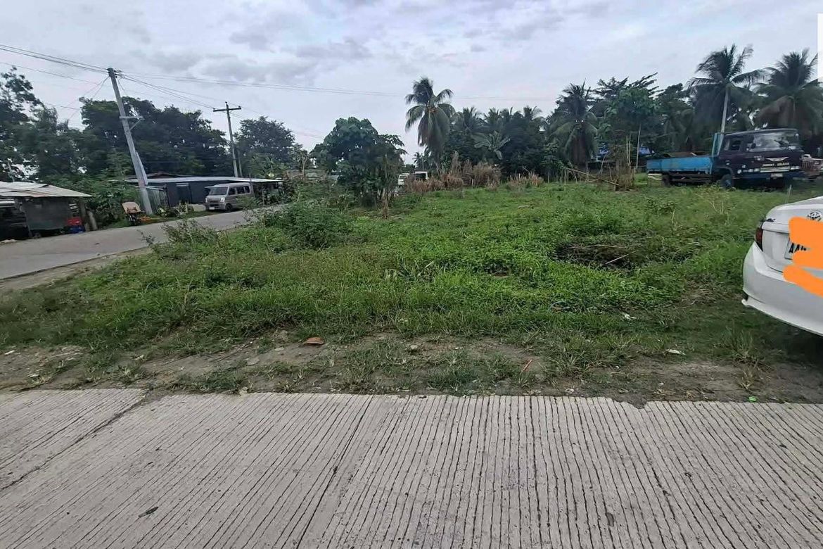 Land for Sale in San Vicente, Santo Tomas, Davao del Norte
