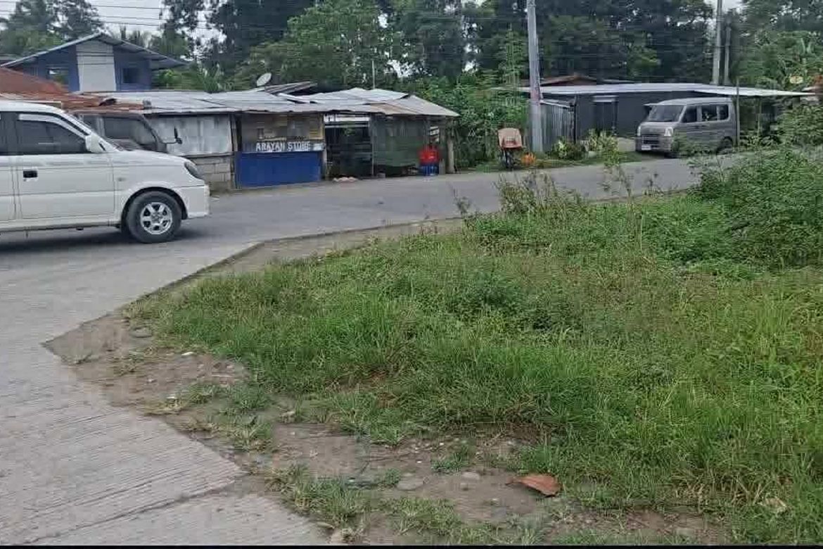 Land for Sale in San Vicente, Santo Tomas, Davao del Norte – photo 4