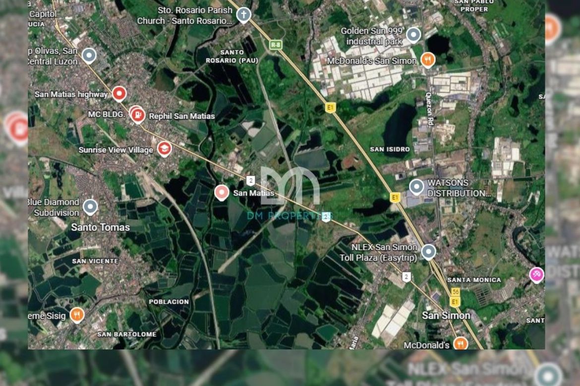 Land for Sale in San Vicente, Santo Tomas, Pampanga