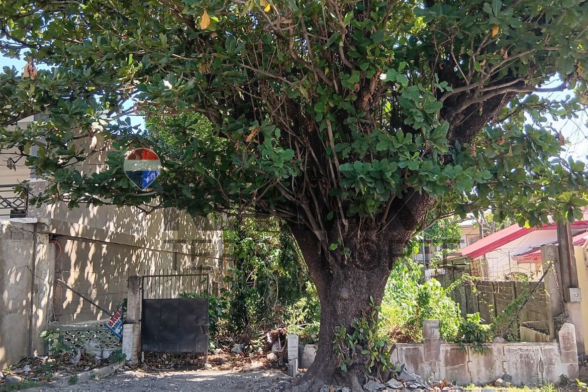 Land for Sale in San Vicente, Urdaneta, Pangasinan – photo 2