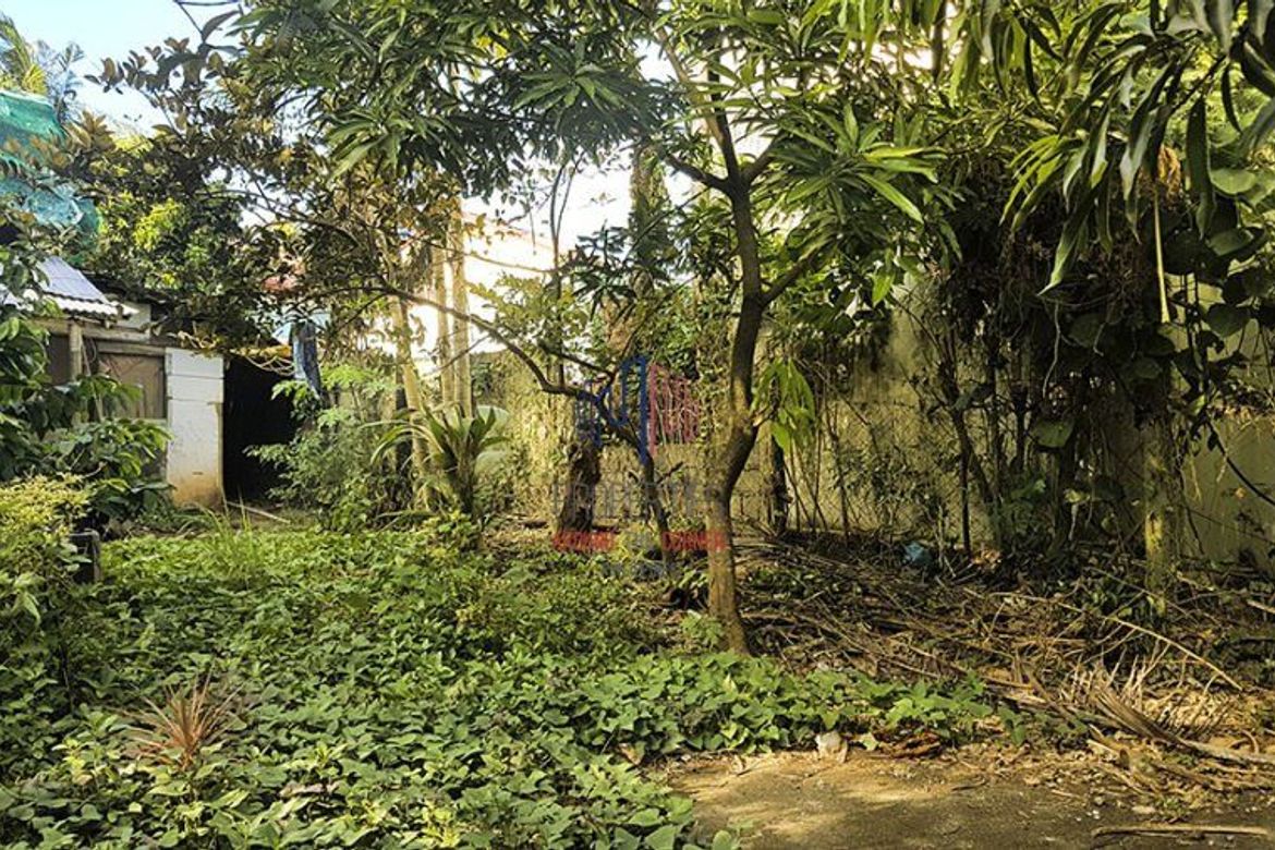 Land for Sale in San Viray, Malay, Aklan