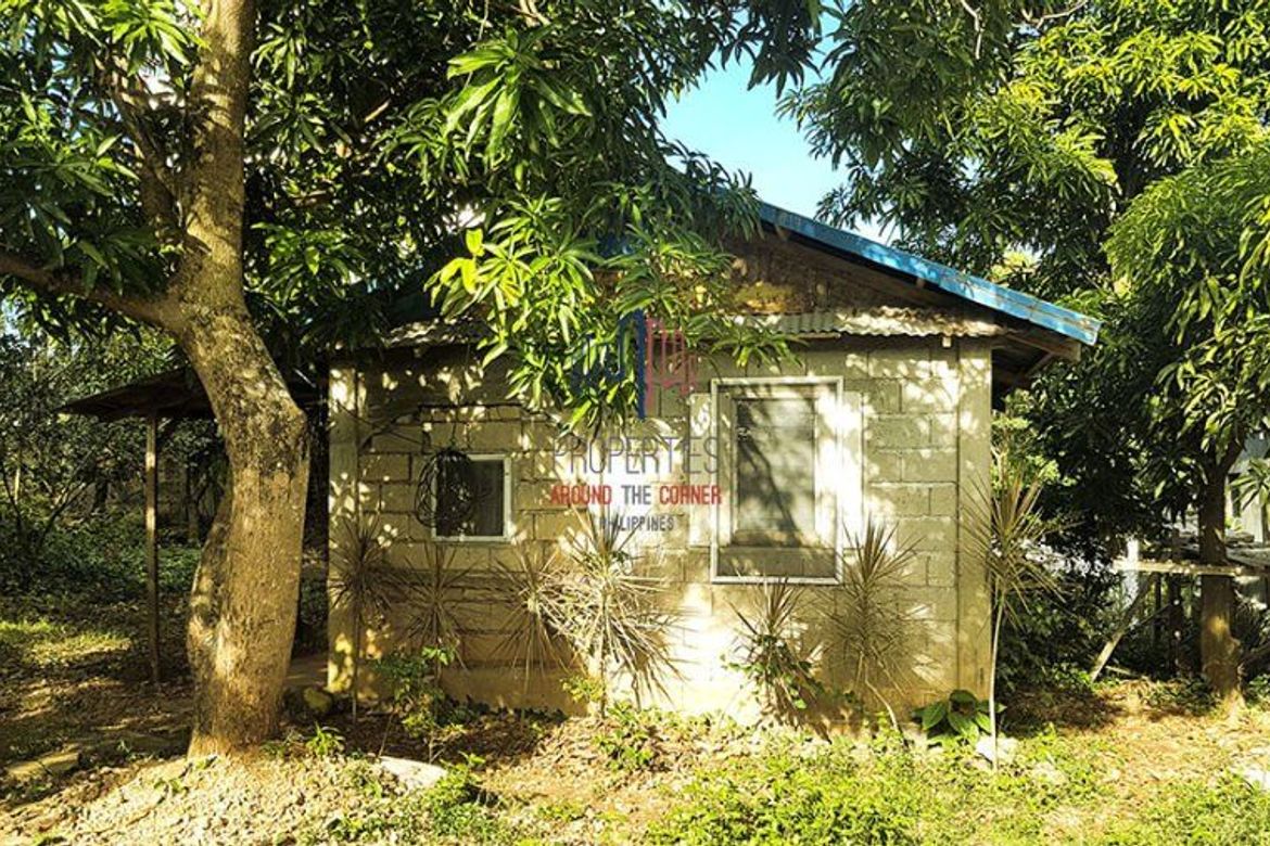 Land for Sale in San Viray, Malay, Aklan – photo 3