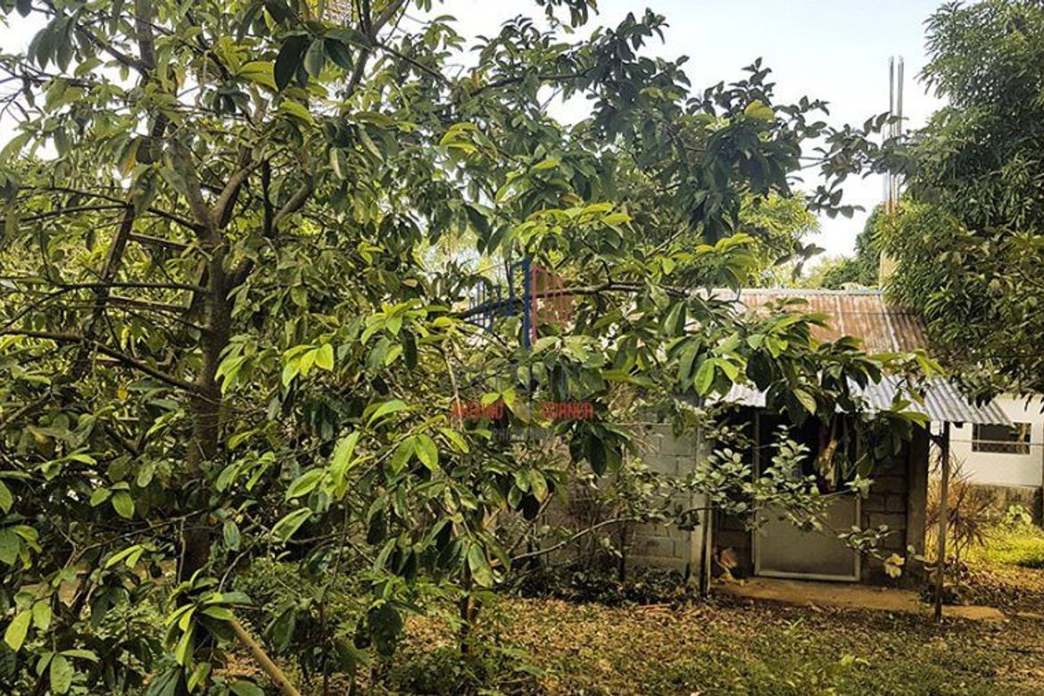 Land for Sale in San Viray, Malay, Aklan – photo 6