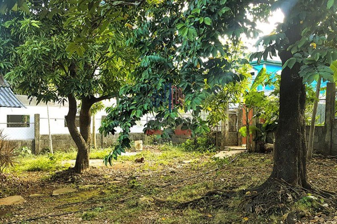 Land for Sale in San Viray, Malay, Aklan – photo 7