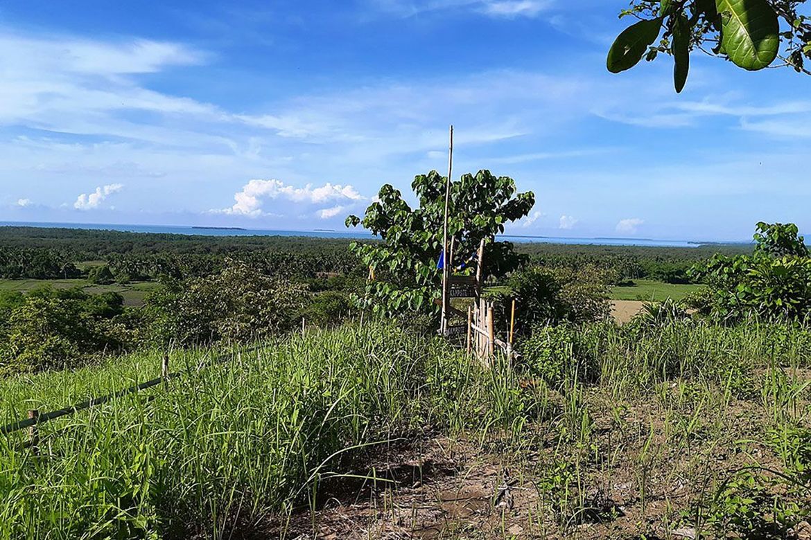 Land for Sale in Sandoval, Roxas, Palawan – photo 2