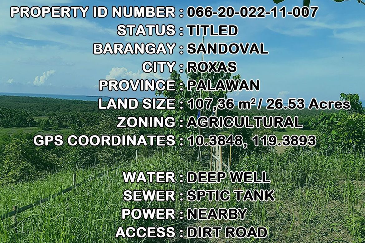 Land for Sale in Sandoval, Roxas, Palawan – photo 8