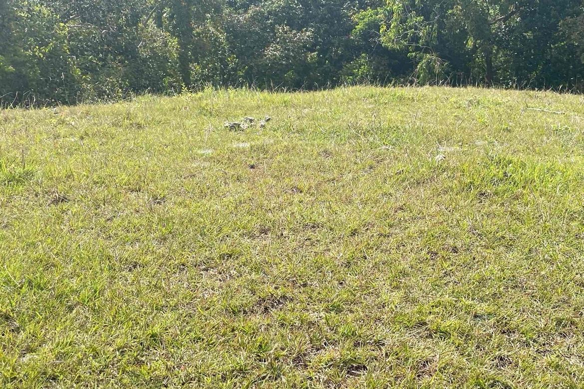 Land for Sale in Sandugan, Larena, Siquijor – photo 6