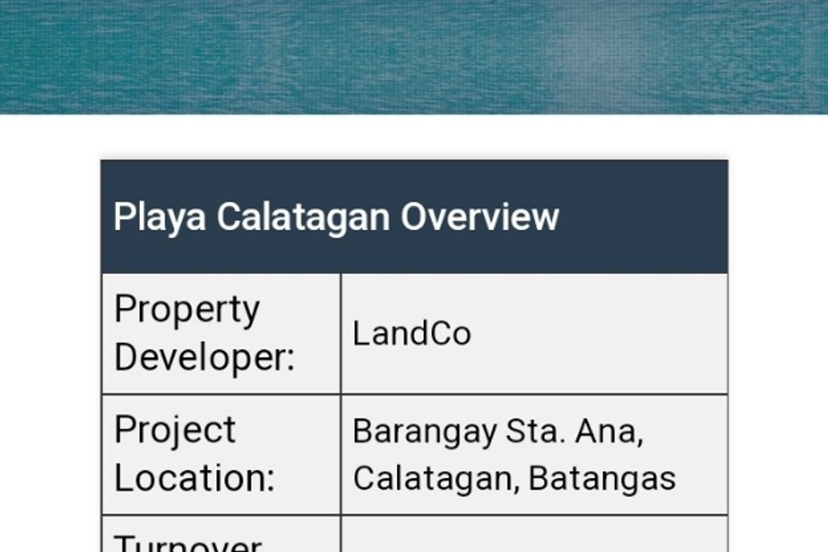 Land for Sale in Santa Ana, Calatagan, Batangas – photo 3