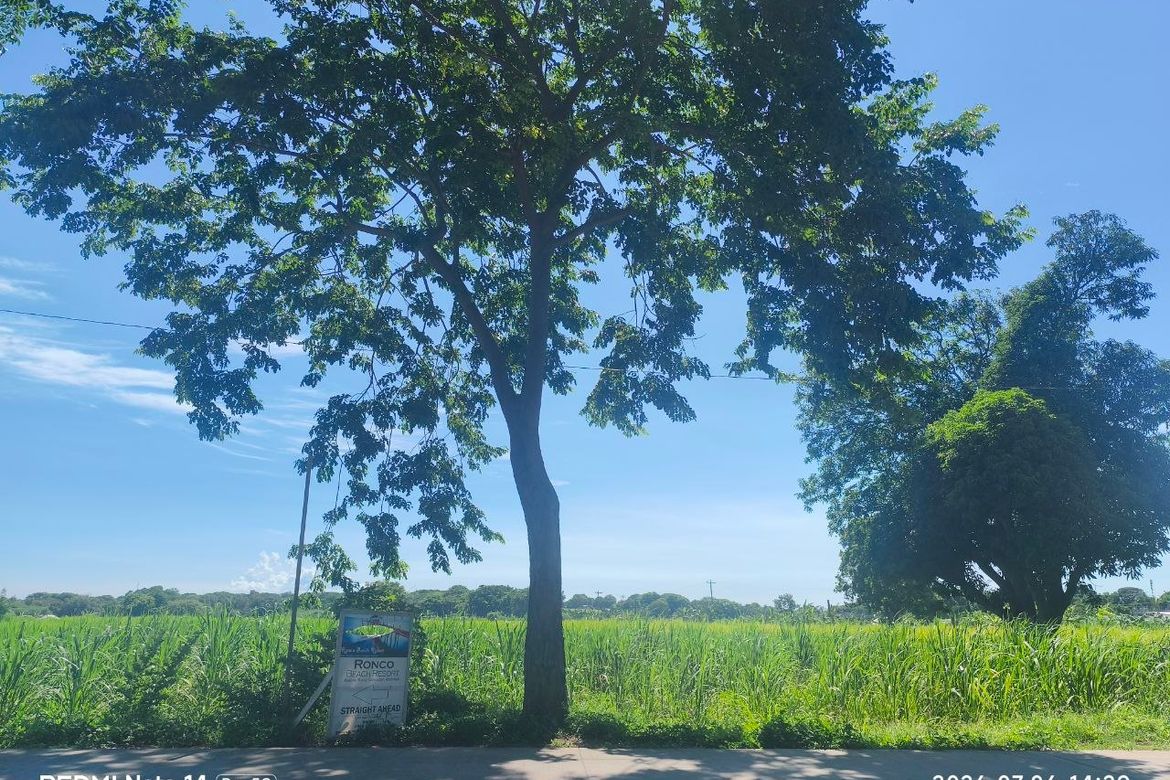 Land for Sale in Santa Ana, Calatagan, Batangas – photo 2