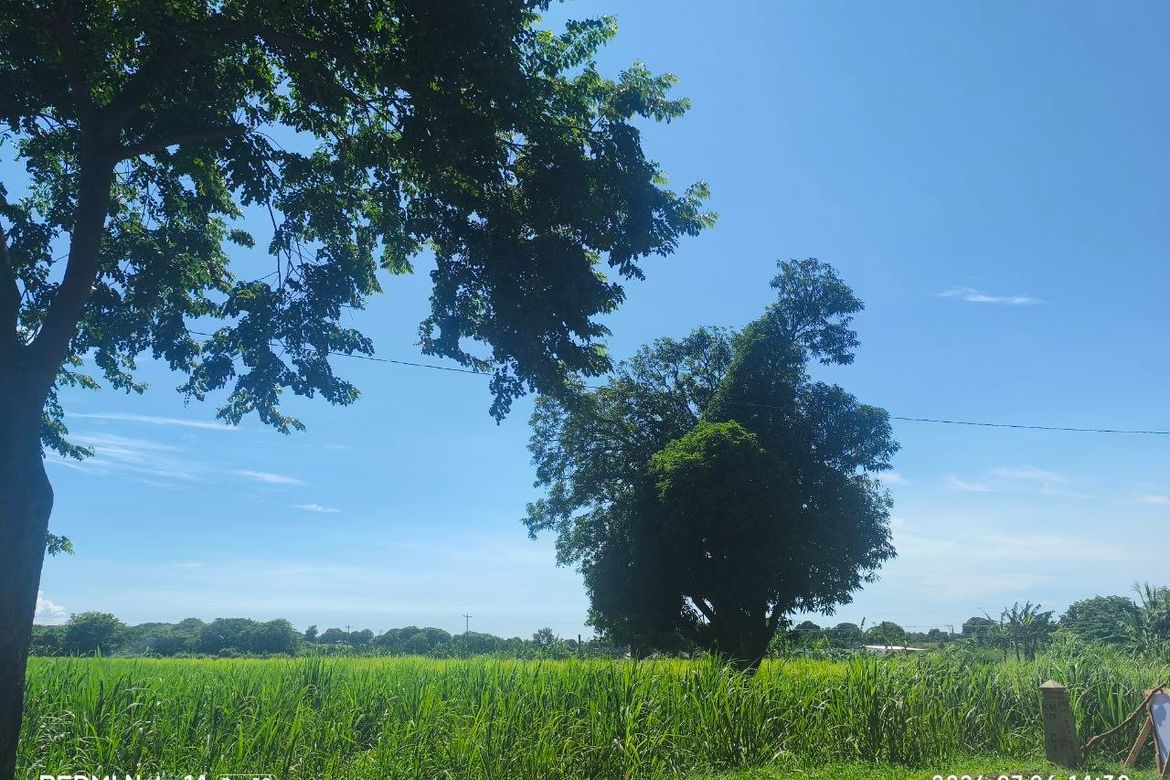 Land for Sale in Santa Ana, Calatagan, Batangas – photo 6