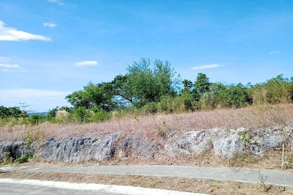 Land for Sale in Santa Ana, Calatagan, Batangas – photo 2