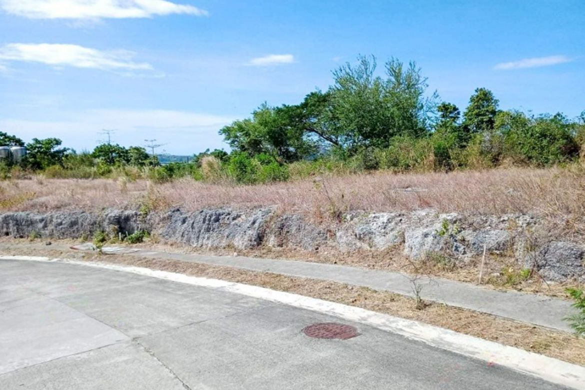 Land for Sale in Santa Ana, Calatagan, Batangas – photo 8