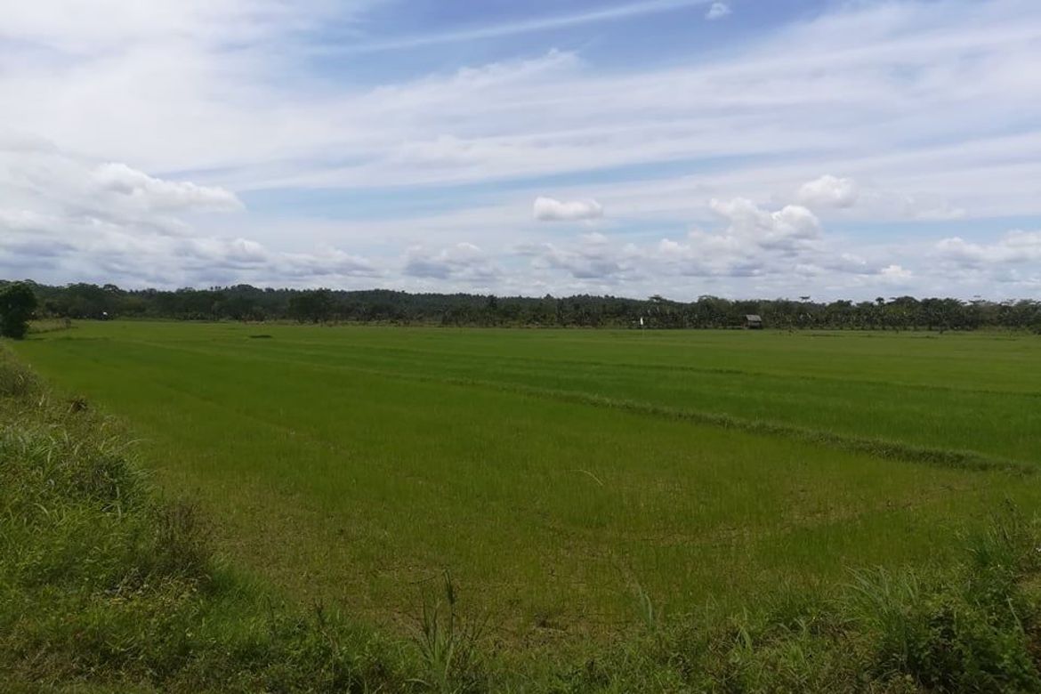 Land for Sale in Santa Ana, San Francisco, Agusan del Sur – photo 2