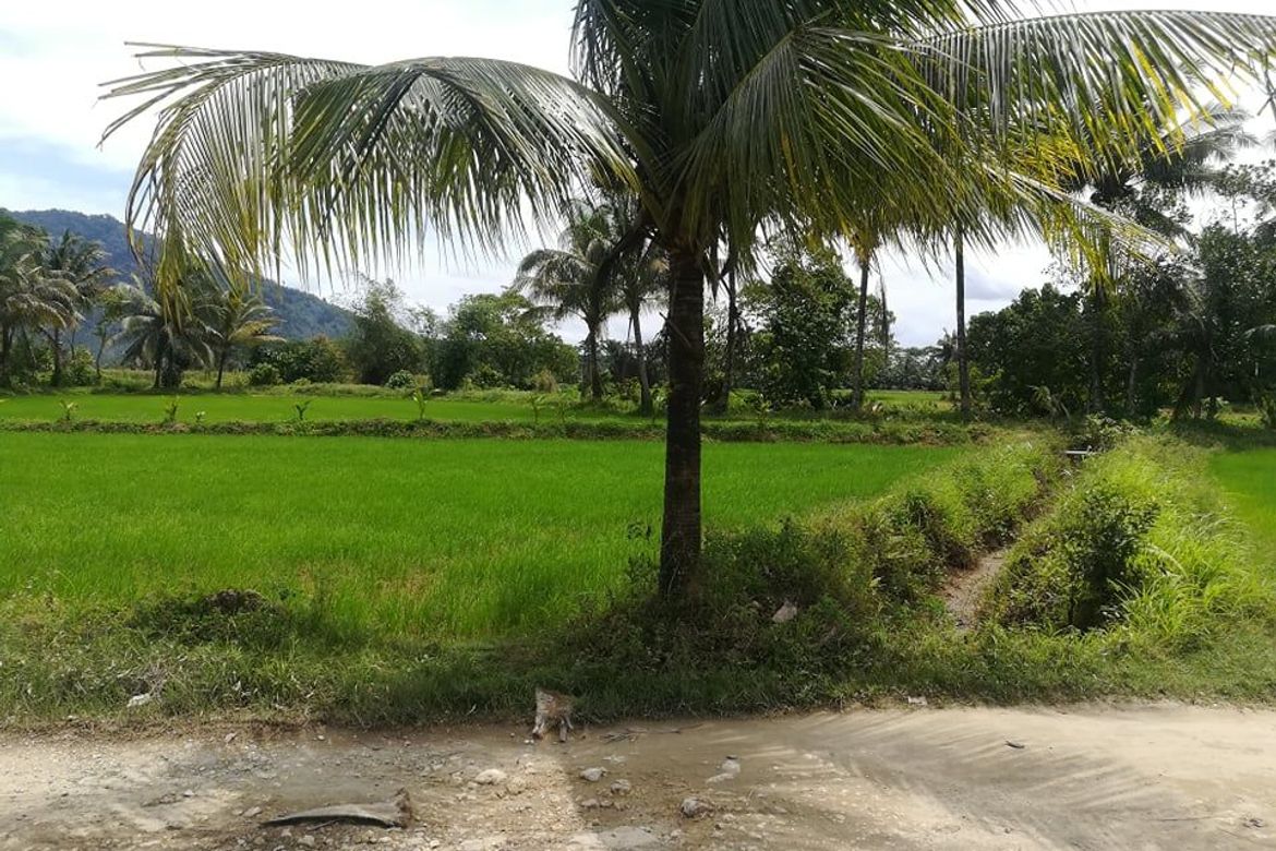 Land for Sale in Santa Ana, San Francisco, Agusan del Sur – photo 3