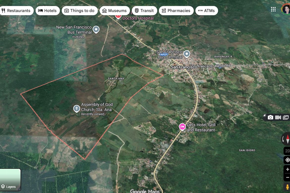 Land for Sale in Santa Ana, San Francisco, Agusan del Sur – photo 6