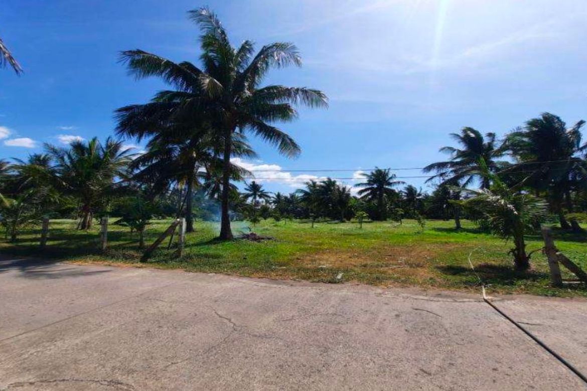 Land for Sale in Santa Ana, San Pablo, Laguna – photo 4
