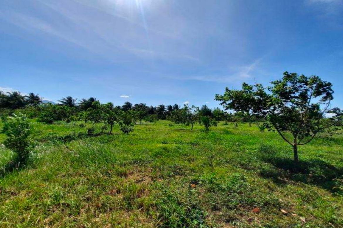 Land for Sale in Santa Ana, San Pablo, Laguna – photo 5