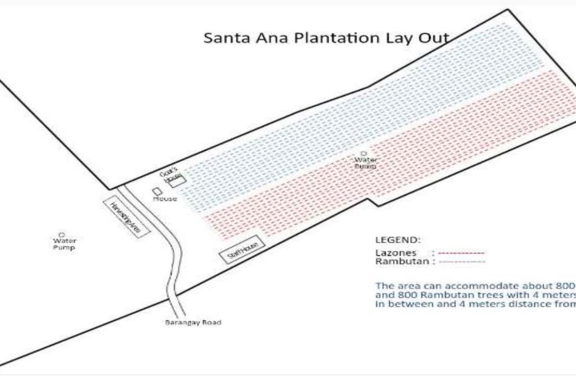 Land for Sale in Santa Ana, San Pablo, Laguna – photo 7