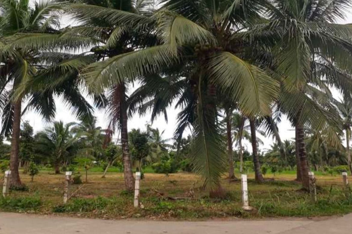 Land for Sale in Santa Ana, San Pablo, Laguna – photo 8