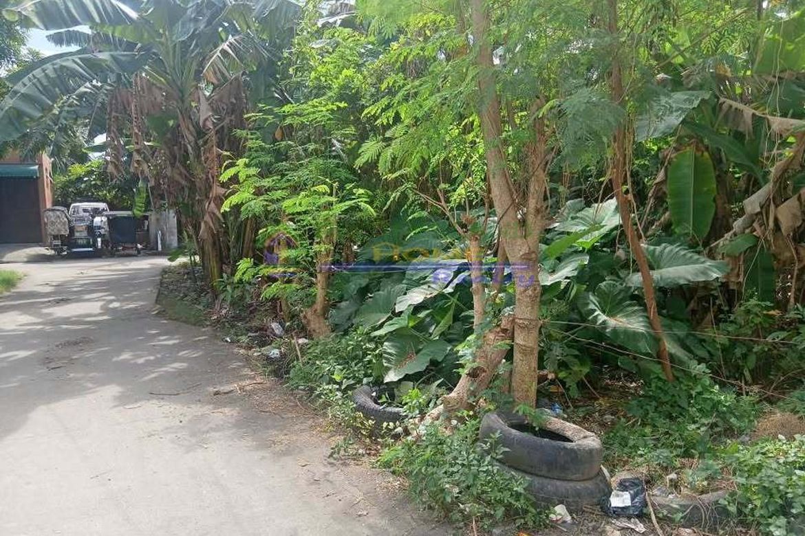 Land for Sale in Santa Ana, Taytay, Rizal – photo 4