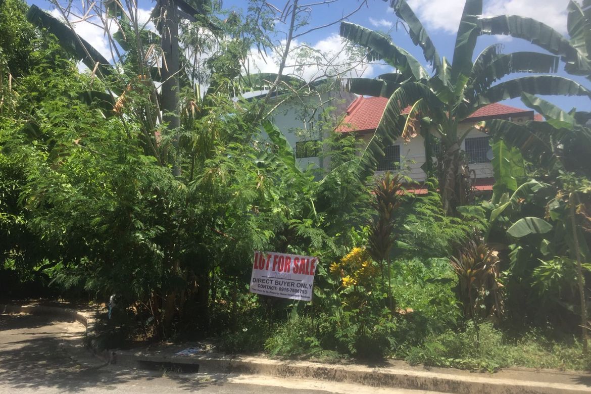 Land for Sale in Santa Ana, Taytay, Rizal – photo 2