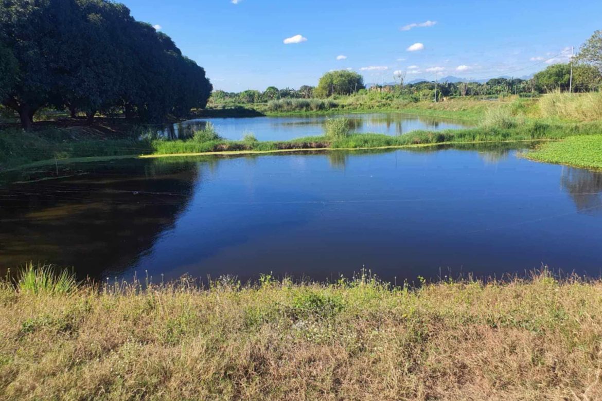 Land for Sale in Santa Barbara, Bacolor, Pampanga – photo 3