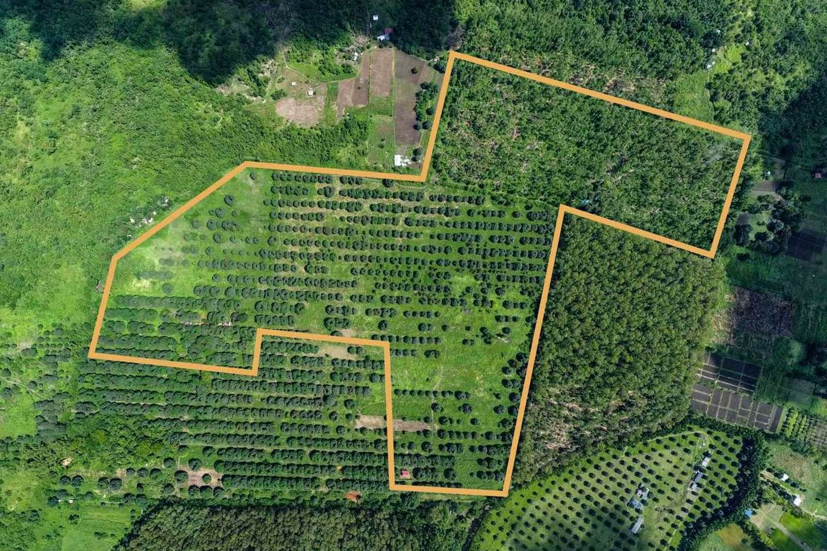 Land for Sale in Santa Barbara, Iba, Zambales