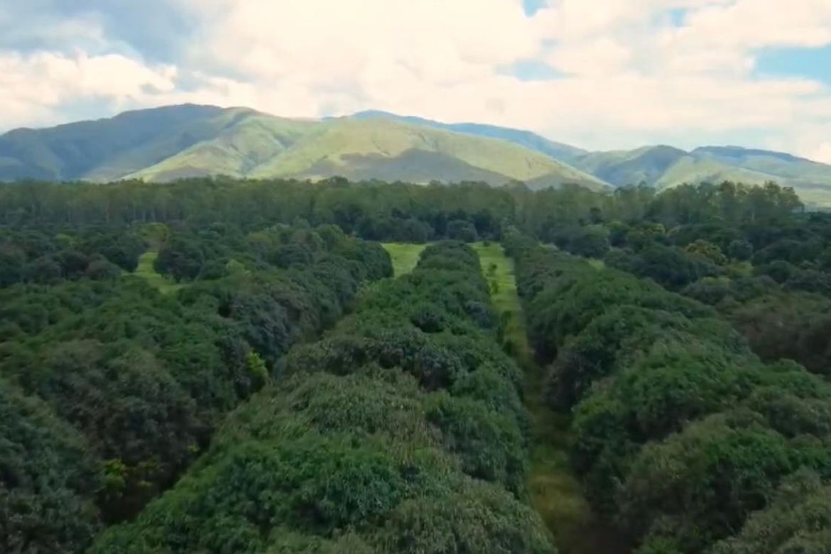 Land for Sale in Santa Barbara, Iba, Zambales – photo 4