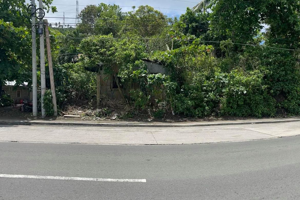 Land for Sale in Santa Catalina Sur, Candelaria, Quezon – photo 2