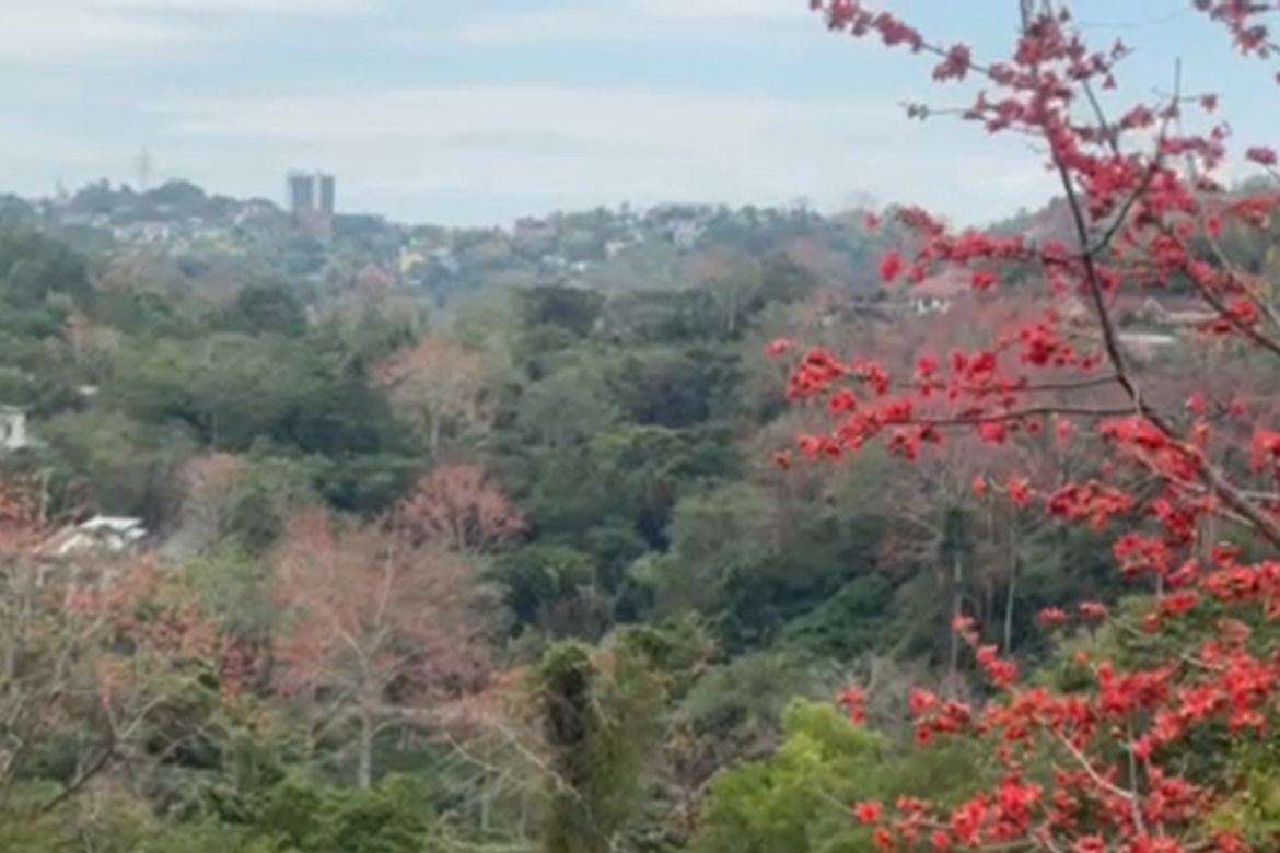 Land for Sale in Santa Cruz, Antipolo, Rizal