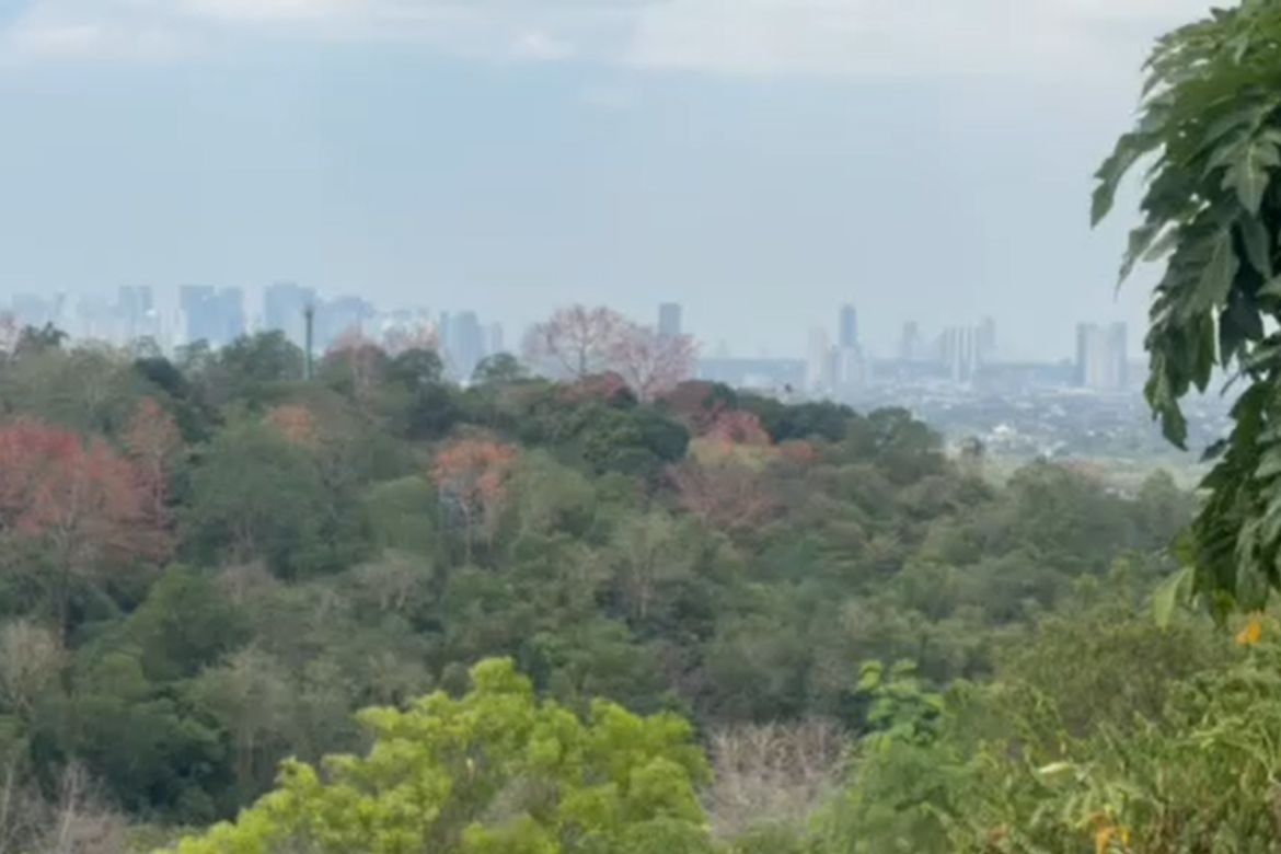 Land for Sale in Santa Cruz, Antipolo, Rizal – photo 4