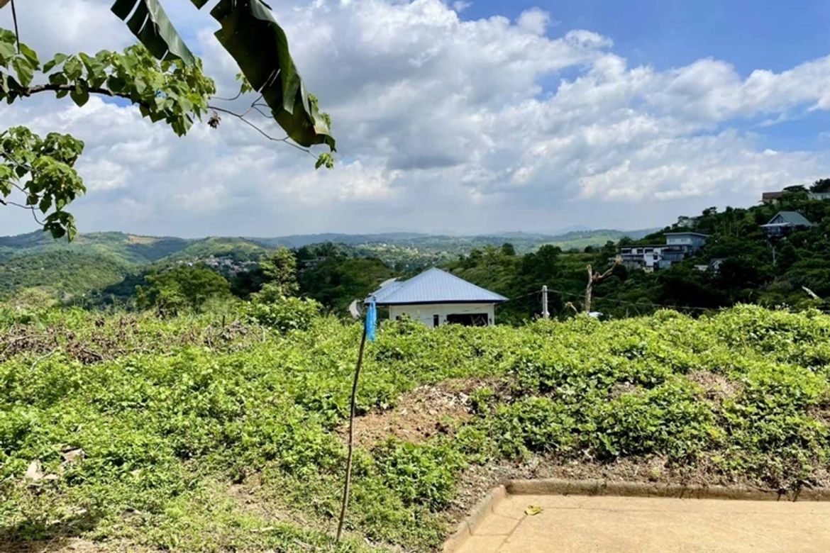 Land for Sale in Santa Cruz, Antipolo, Rizal – photo 3